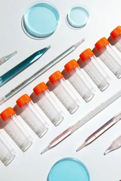 Vista dall'alto dell'organizzazione dei campioni in laboratorio