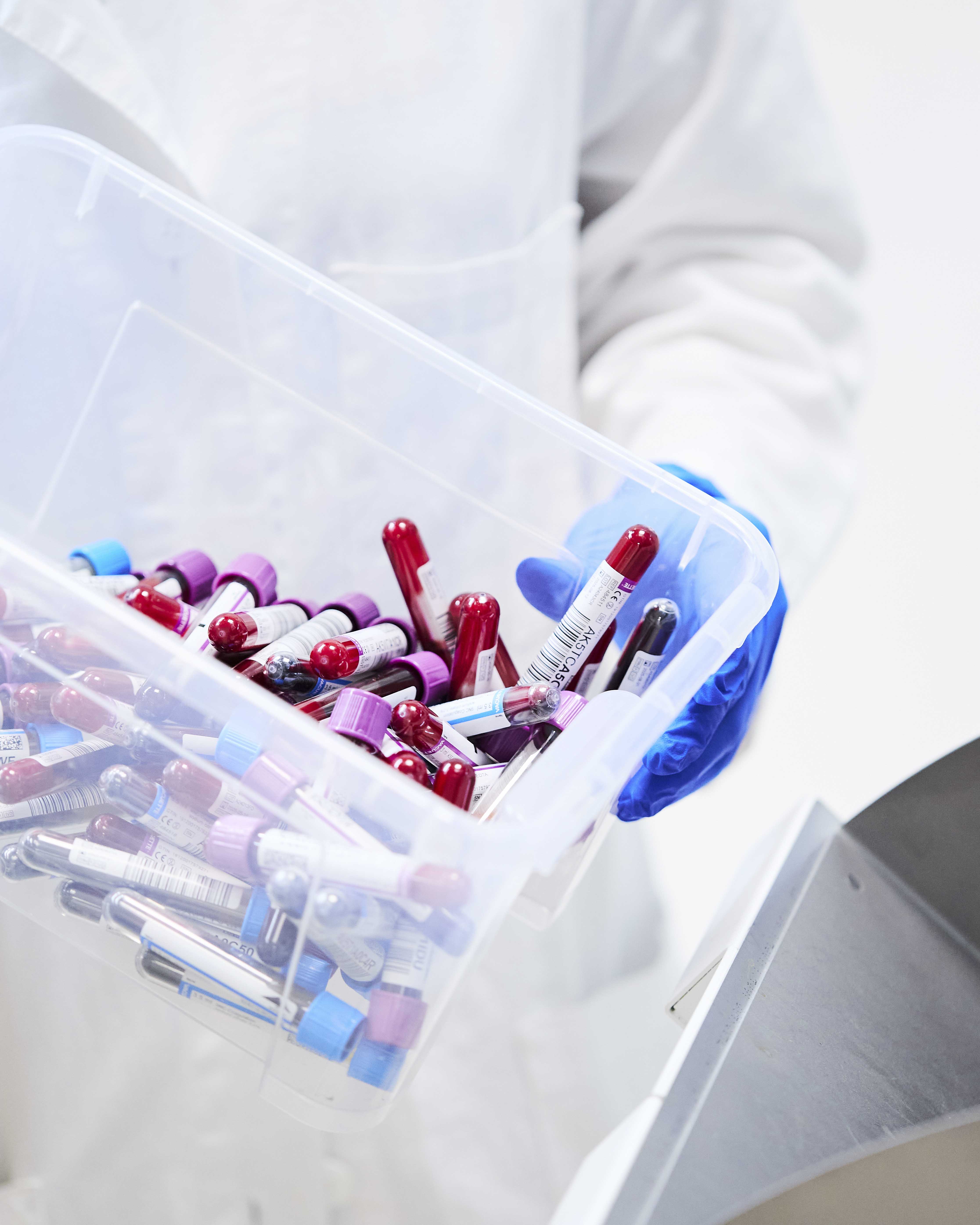 contenitore in plastica con provette per analisi del sangue